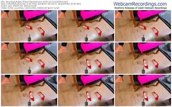 stripchat-taylorgrace-10-14-2025-23-29-44