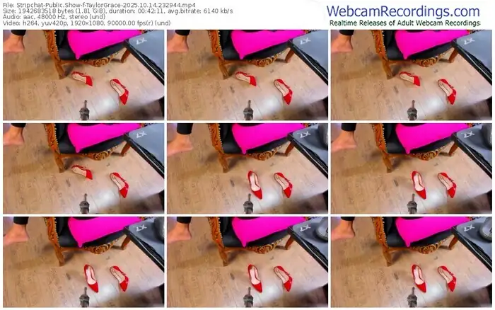 stripchat-taylorgrace-10-14-2025-23-29-44