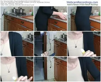 stripchat-venered-10-14-2025-11-28-04