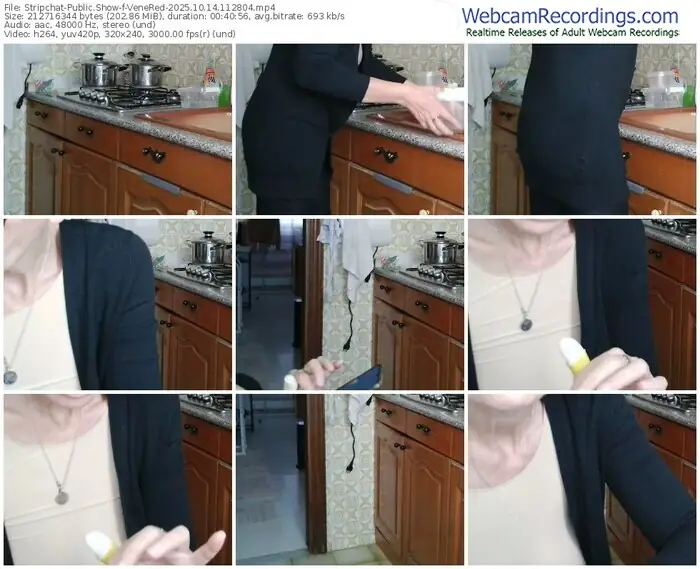 stripchat-venered-10-14-2025-11-28-04