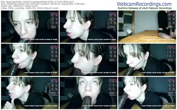 stripchat-cruellagoth666-10-14-2025-01-38-52