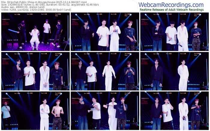 stripchat-boygayhouse-10-14-2025-08-43-07
