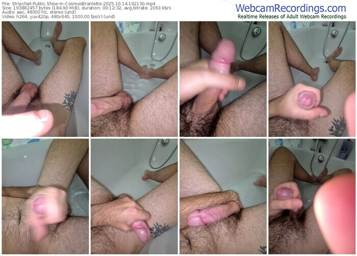 stripchat-cosmosbranlette-10-14-2025-10-21-30