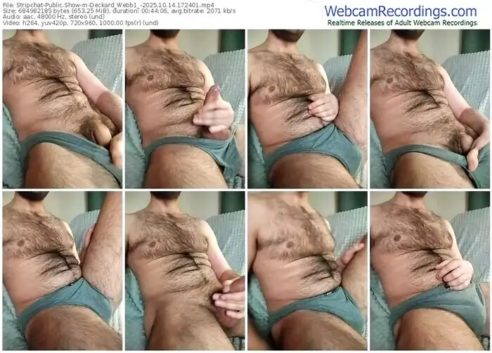 stripchat-deckard_webb1_-10-14-2025-17-24-01