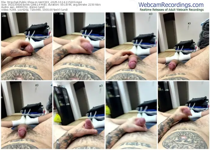 stripchat-verit333_-10-14-2025-11-52-03