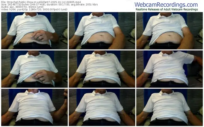 stripchat-velikifant7-10-14-2025-16-08-05