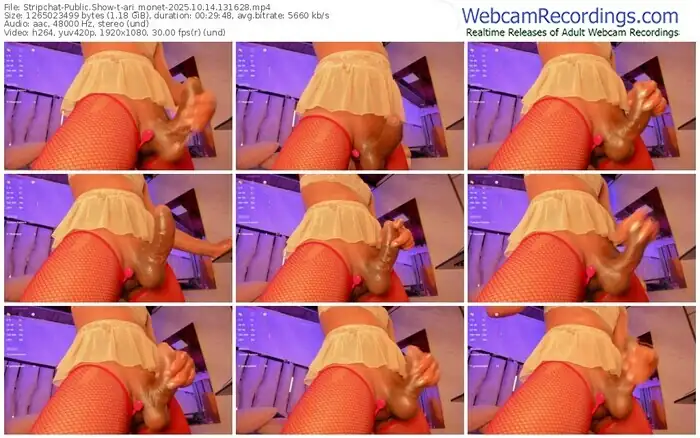 stripchat-ari_monet-10-14-2025-13-16-28