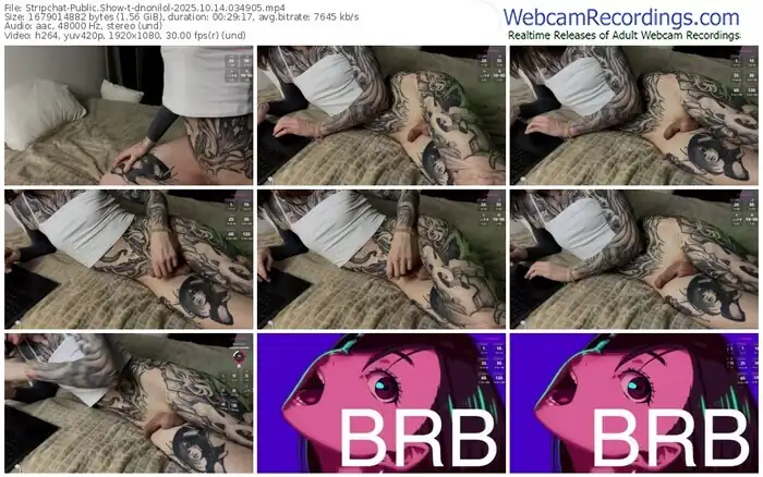 stripchat-dnonilol-10-14-2025-03-49-05