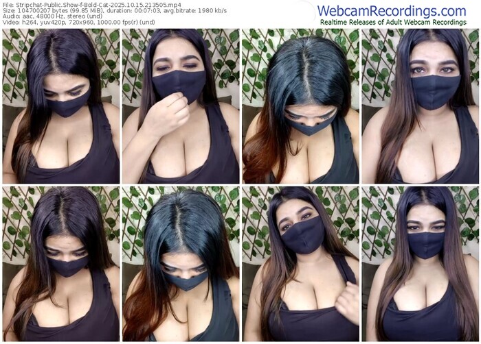 stripchat-bold-cat-10-15-2025-21-35-05