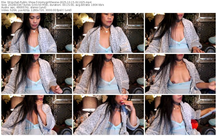 stripchat-hornygirltheone-10-15-2025-01-16-25