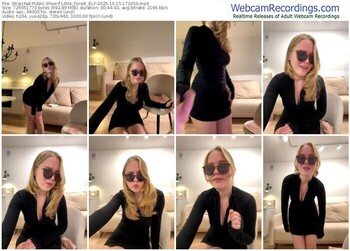 stripchat-little_forest_elf-10-15-2025-17-16-50