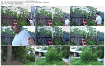 stripchat-vickiebee-10-15-2025-22-38-08