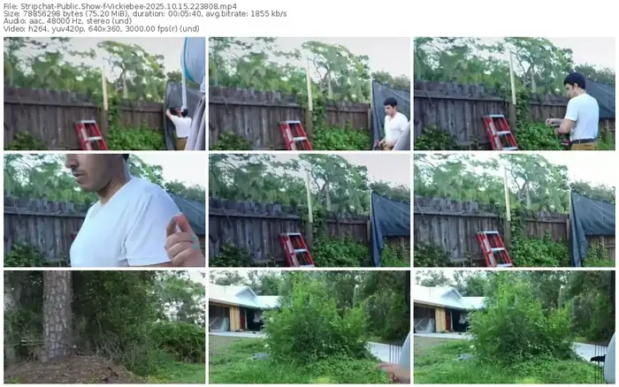 stripchat-vickiebee-10-15-2025-22-38-08