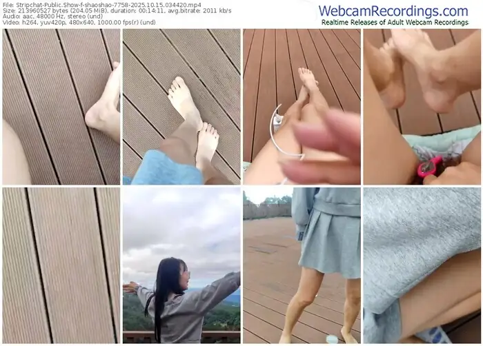 stripchat-shaoshao-7758-10-15-2025-03-44-20