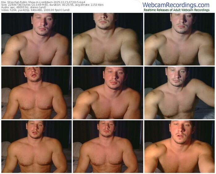 stripchat-lionedwin-10-15-2025-07-20-15
