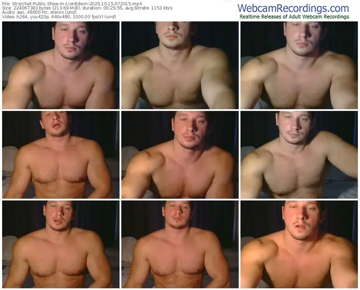 stripchat-lionedwin-10-15-2025-07-20-15