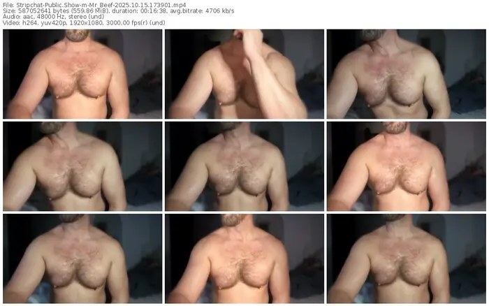stripchat-mr_beef-10-15-2025-17-39-01