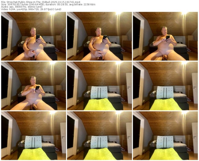 stripchat-the_oldbull-10-15-2025-19-17-41