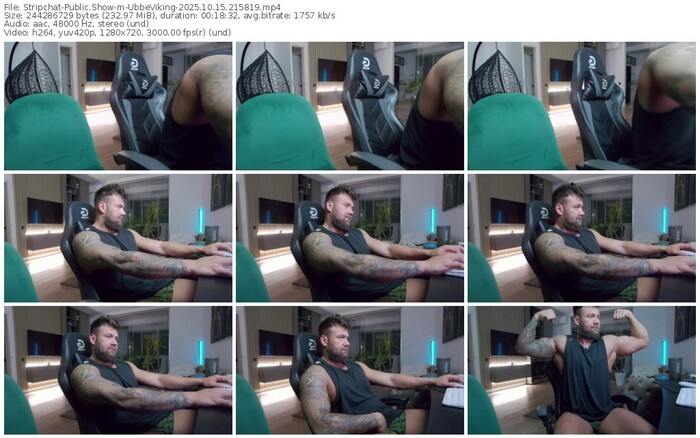 stripchat-ubbeviking-10-15-2025-21-58-19