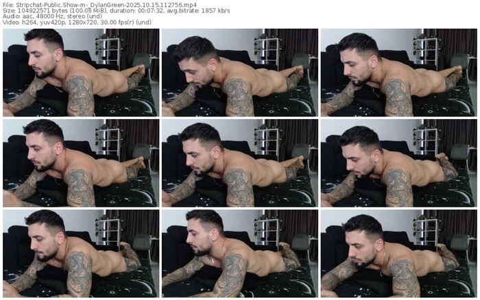 stripchat-_dylangreen-10-15-2025-11-27-56