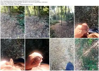 stripchat-pegaso369-10-15-2025-14-22-38