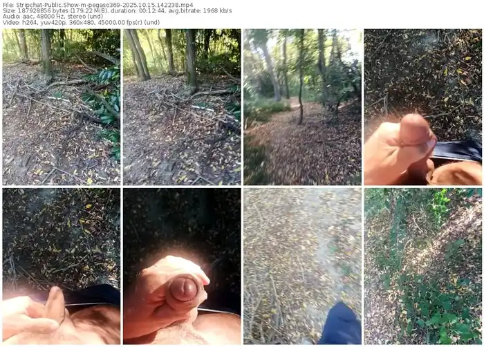 stripchat-pegaso369-10-15-2025-14-22-38