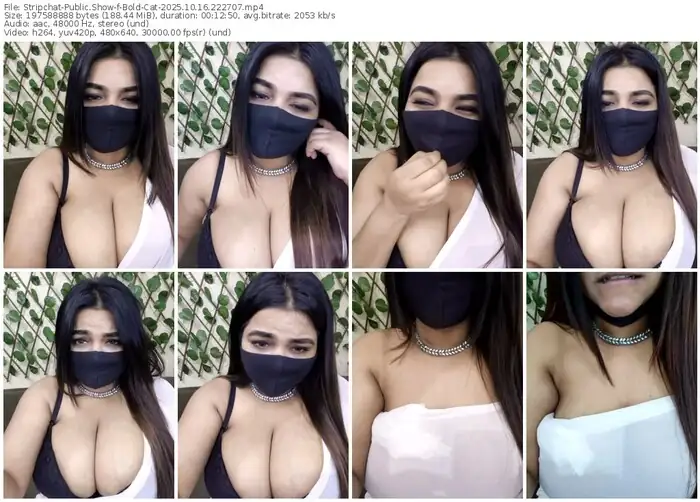 stripchat-bold-cat-10-16-2025-22-27-07