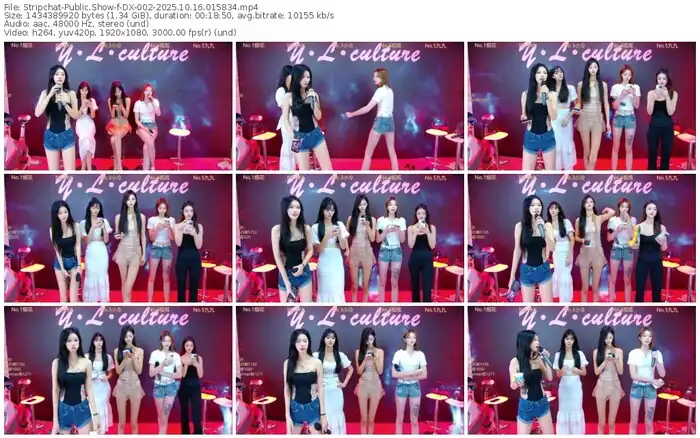 stripchat-dx-002-10-16-2025-01-58-34