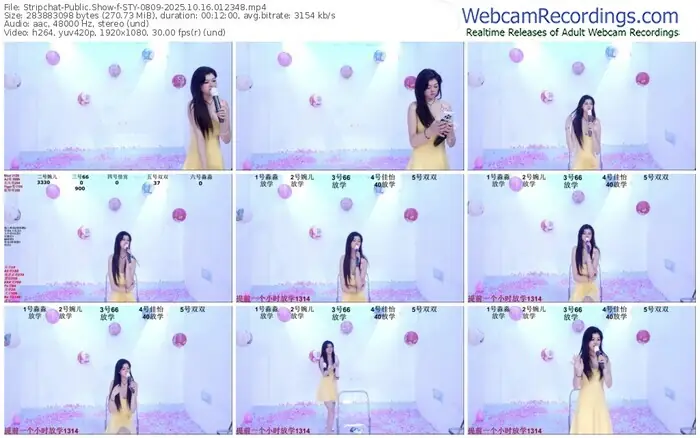stripchat-sty-0809-10-16-2025-01-23-48
