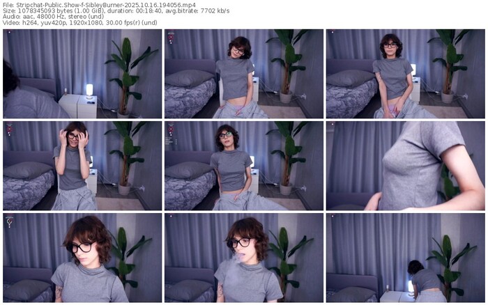 stripchat-sibleyburner-10-16-2025-19-40-56