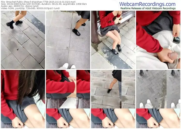 stripchat-shaoshao-7758-10-16-2025-01-23-23