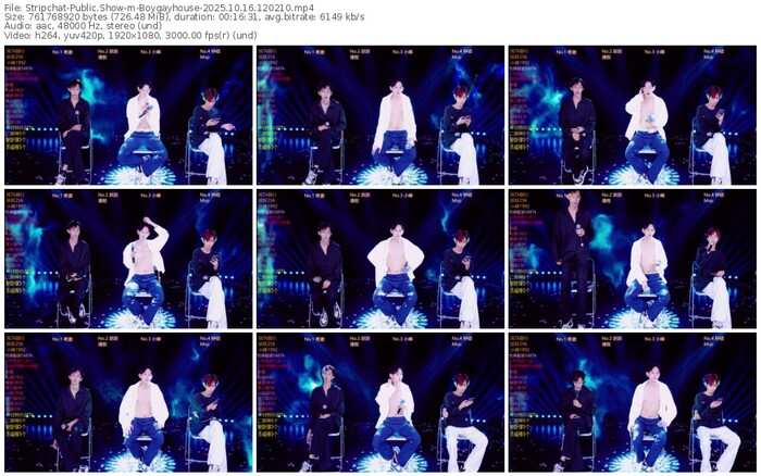 stripchat-boygayhouse-10-16-2025-12-02-10
