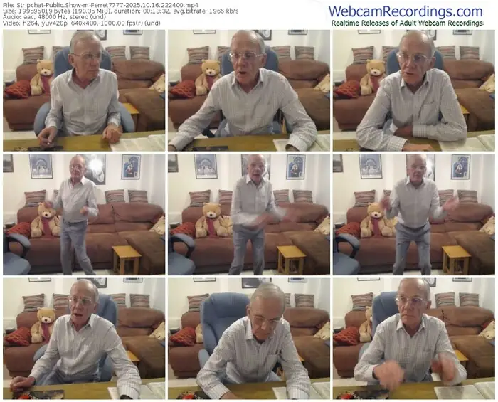 stripchat-ferret7777-10-16-2025-22-24-00