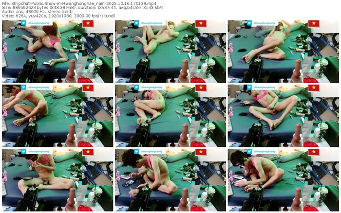 stripchat-hwanghonghae_nam-10-16-2025-17-01-39