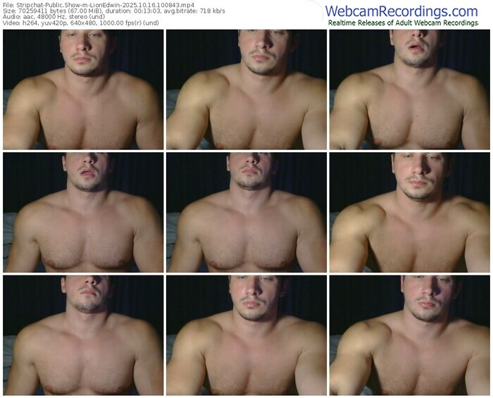 stripchat-lionedwin-10-16-2025-10-08-43
