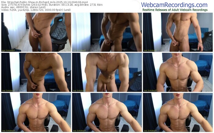 stripchat-richard_mils-10-16-2025-09-41-06
