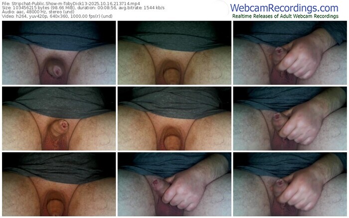 stripchat-tobydick13-10-16-2025-21-37-14
