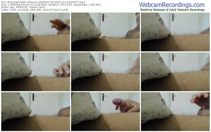 stripchat-vaskos178-10-16-2025-05-50-57