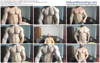 stripchat-zkkblitz-10-16-2025-11-12-20