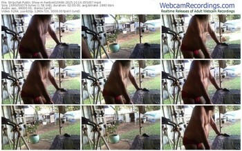 stripchat-herbie010666-10-16-2025-05-50-07