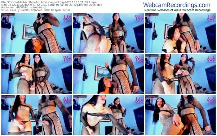 stripchat-submissive_cockbig-10-16-2025-21-13-19