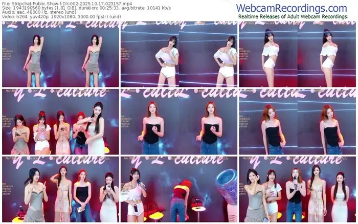 stripchat-dx-002-10-17-2025-02-31-57