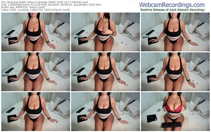 stripchat-ultimate_pawg-10-17-2025-08-54-41