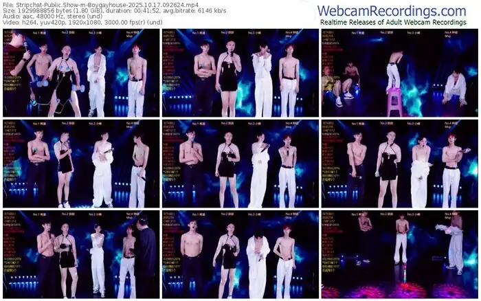 stripchat-boygayhouse-10-17-2025-09-26-24