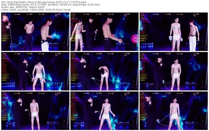 stripchat-boygayhouse-10-17-2025-12-35-33