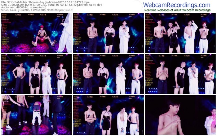stripchat-boygayhouse-10-17-2025-13-47-42