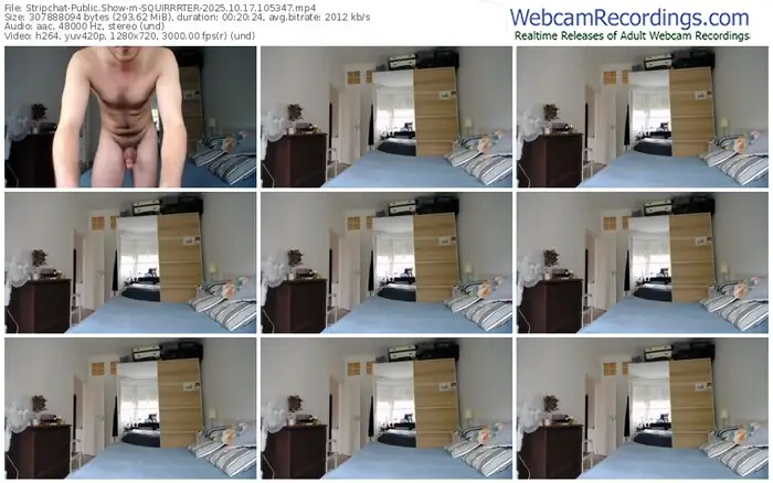 stripchat-squirrrter-10-17-2025-10-53-47