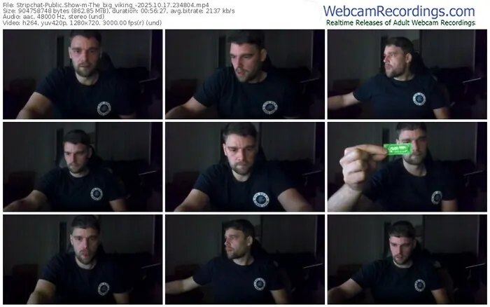 stripchat-the_big_viking_-10-17-2025-23-48-04