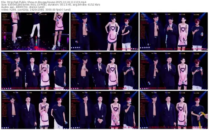 stripchat-boygayhouse-10-18-2025-11-11-03