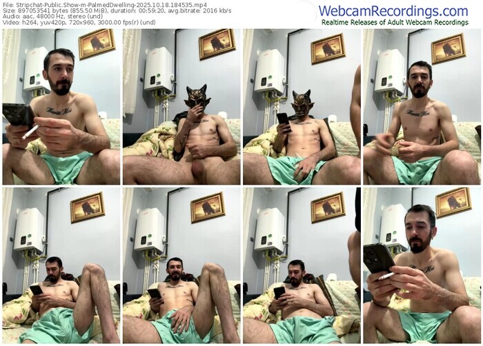 stripchat-palmeddwelling-10-18-2025-18-45-35